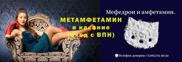 крисы Козельск