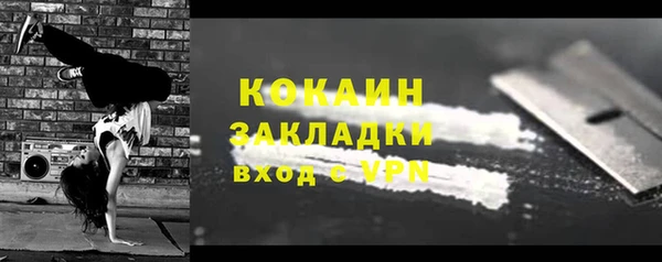 крисы Козельск