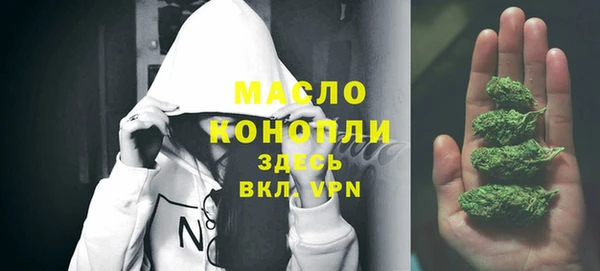 крисы Козельск