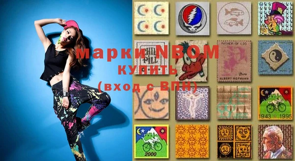 крисы Козельск
