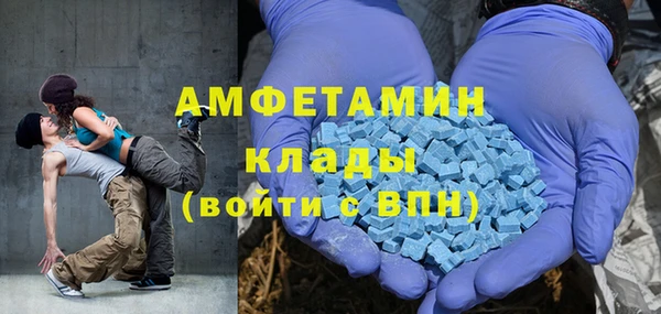 крисы Козельск