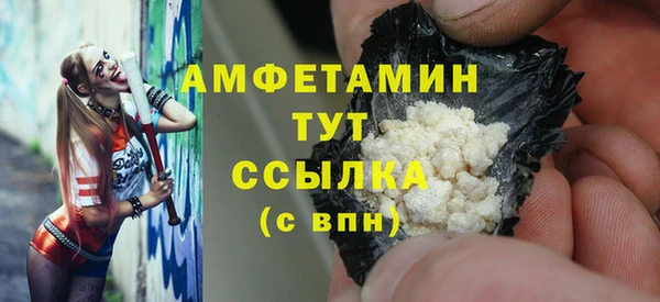 крисы Козельск