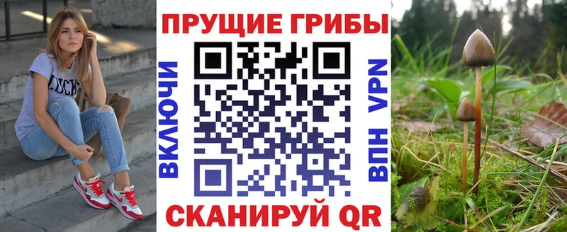 Купить закладки  Армянск  Галлюциногенные грибы мухоморы 